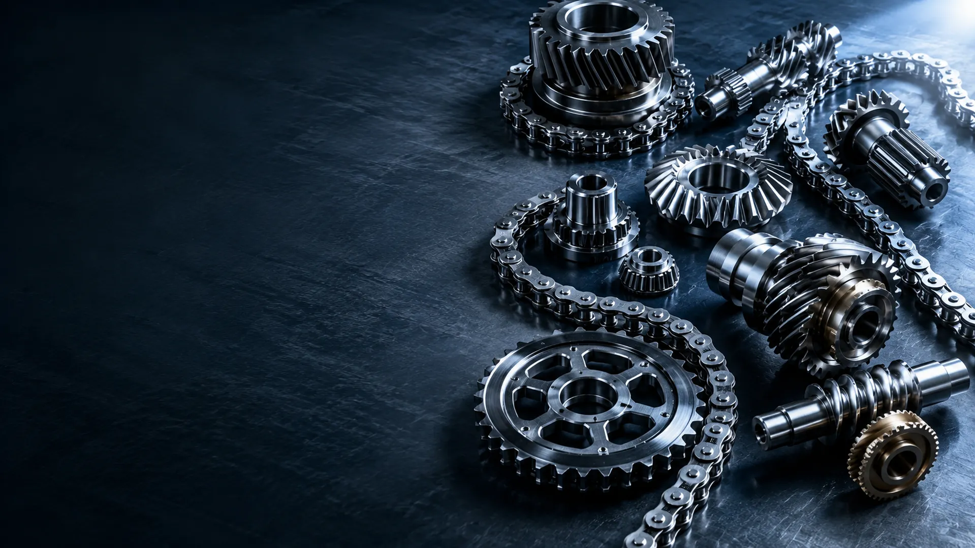 Korea Ever-Power Industrial Drive Chains Sprockets Gearboxes